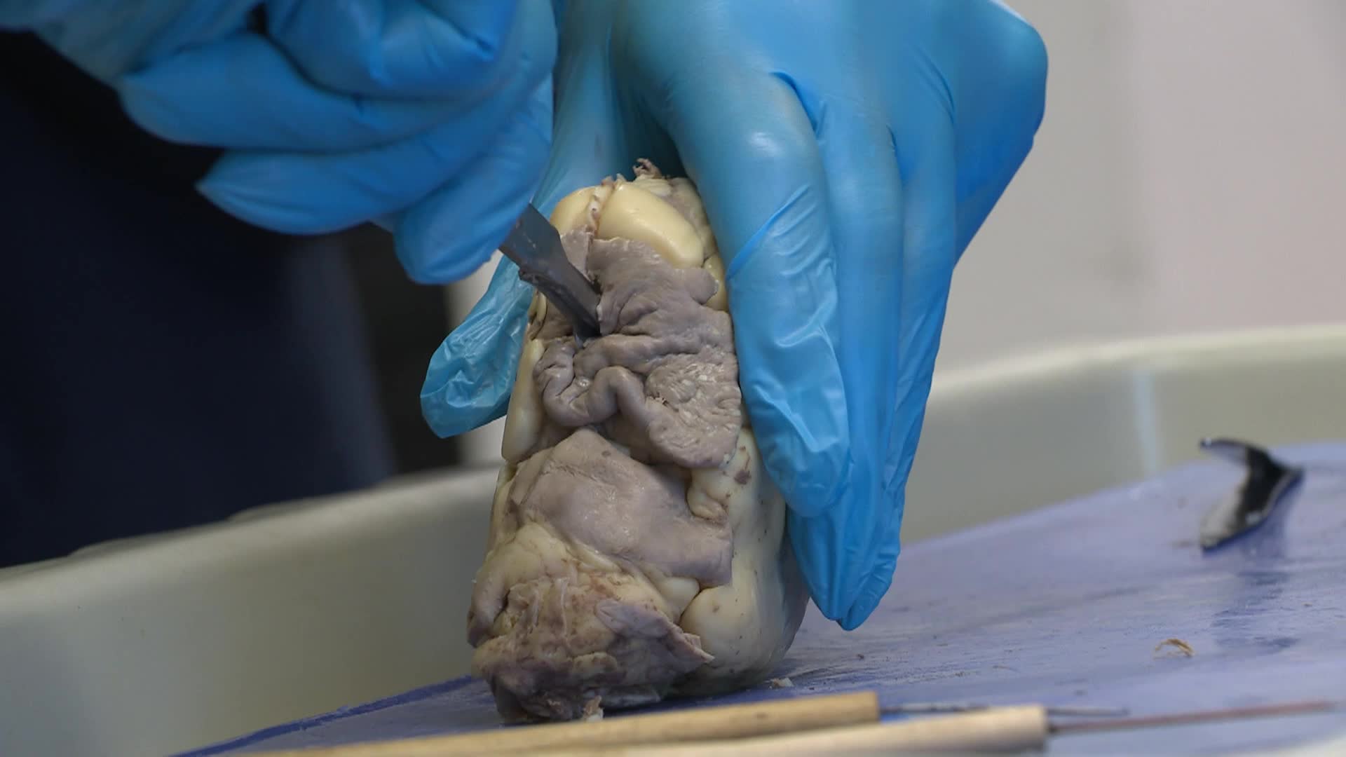 BHHS Life Science Promo